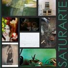SaturARTE 2014