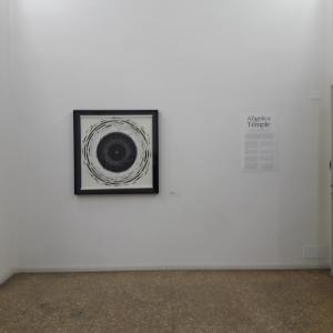 Dall'Angelica to Temple- By Isabella de Stefano and Shara Wasserman-Gallery of Art, Temple University Rome Dall'Angelica to Temple- By Isabella de Stefano and Shara Wasserman-Gallery of Art, Temple University Rome