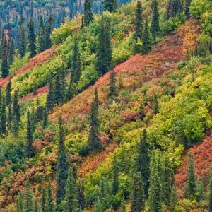 USA. Alaska 2/3. Boundaries and beyond