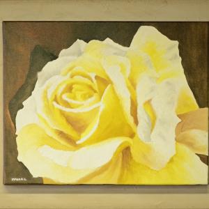 LE FOTO DI ALTRA NATURA IN VILLA fino al 25 ottobre CLUB LA MERIDIANA (MO)