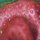 Strawberry 1