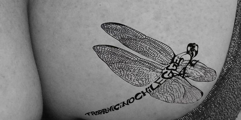 Il Segno 2011. Premio nazionale d’arte contemporanea 