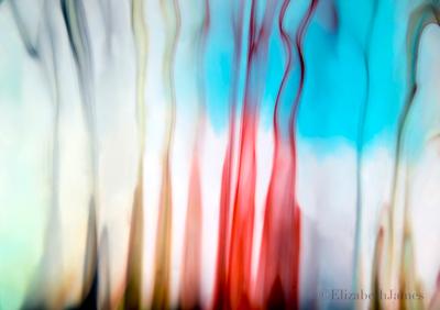 colour in Motion (Colori in Movimento) 1231 colour in Motion (Colori in Movimento) 1231