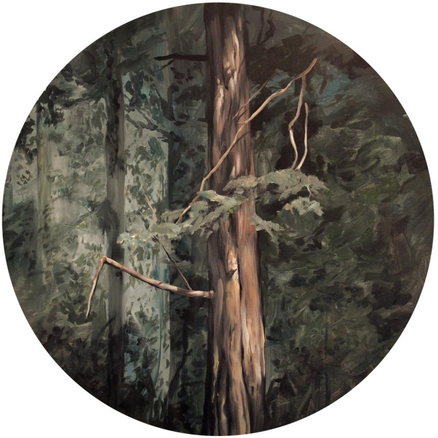 Magdalena Contreras, Ciudad de México, México