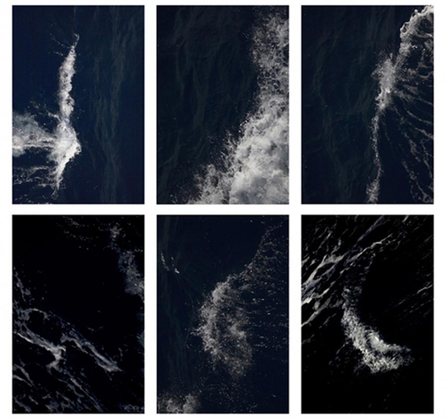 Le forme dell'acqua Le forme dell'acqua