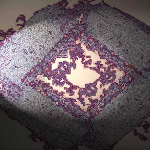  A Pillow of Ornament