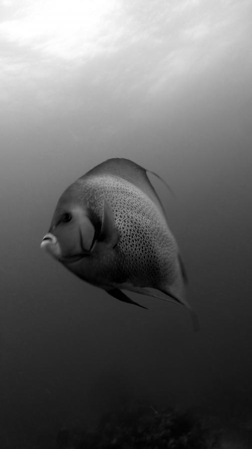 Niente come la natura # 10