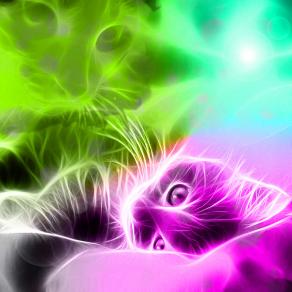 HO IMPARATO...CHE L'AMORE, NON IL TEMPO GUARISCE LE FERITE...!!! 