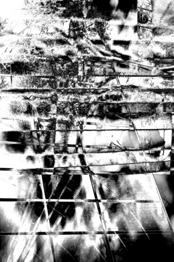 Livelli di ignoranza 