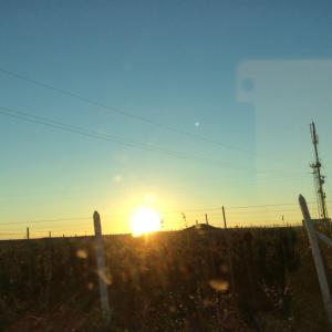 FLASHBACK C FLASHBACK C