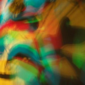 I colori della biodiversità -2015