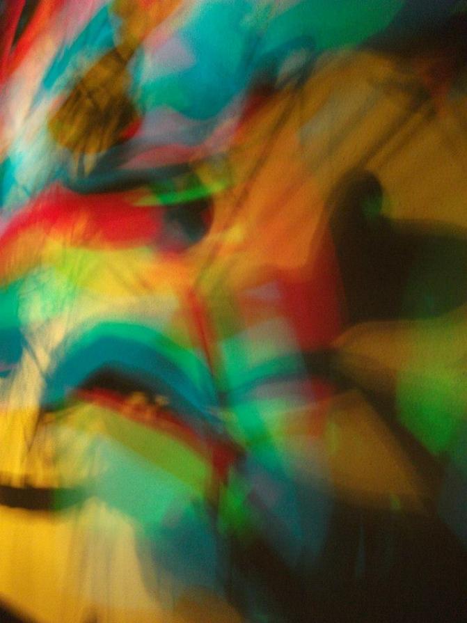 I colori della biodiversità -2015