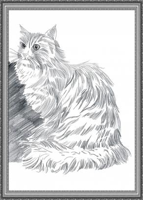  MATITA ... GOMMA ... E ... FANTASIA ....!!!! 3