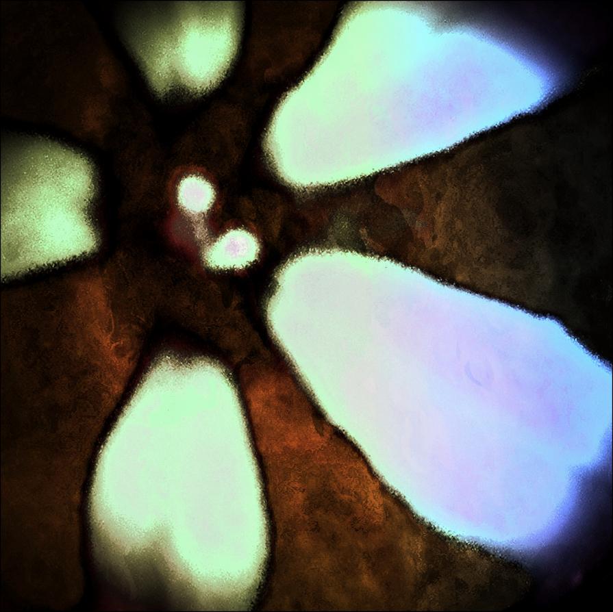 Abstraction of a Flower.