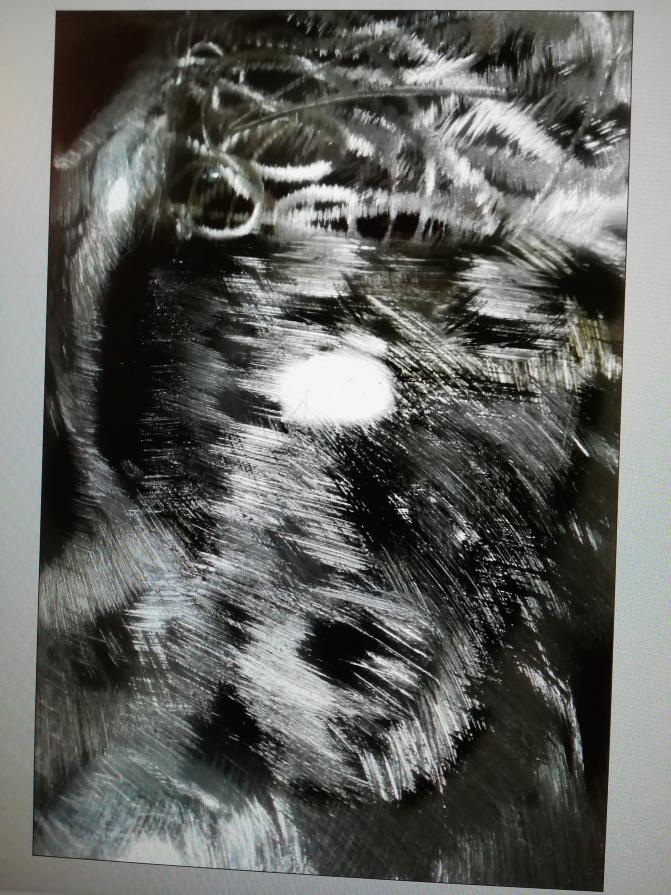 Autoritratto Prigioniero. 