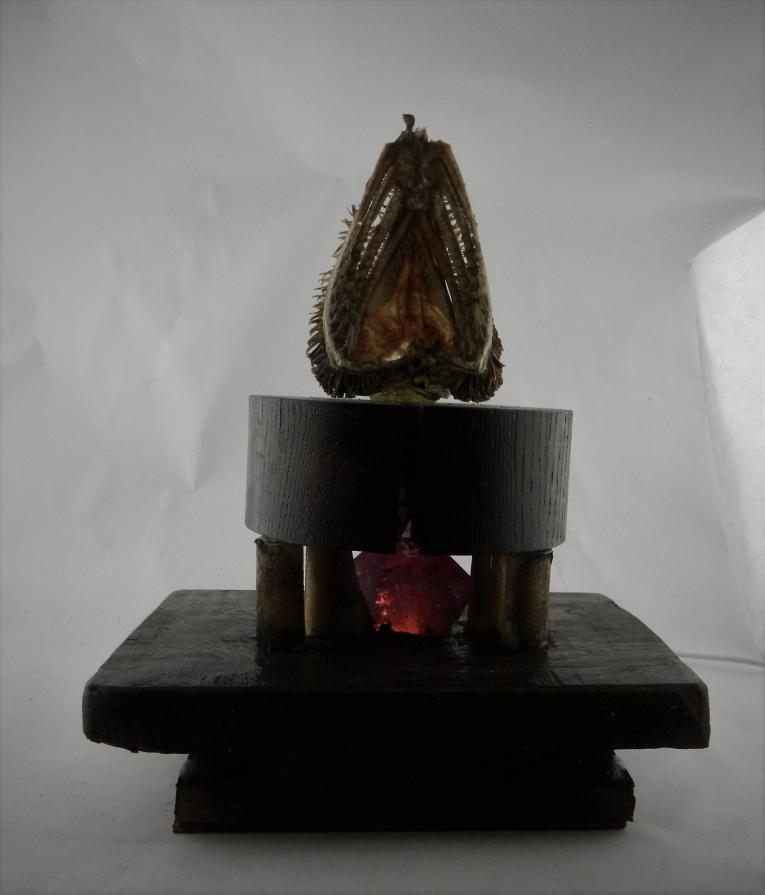 Guilt and the Sanctuary