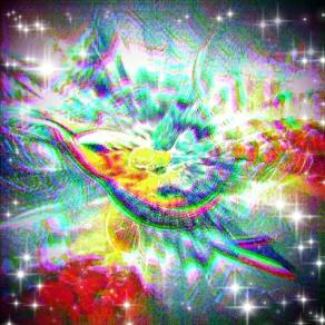       ... Frammenti di Luce !!! ...