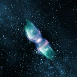 INVASION ONE videos and video installations from the territory physical and virtual territory 