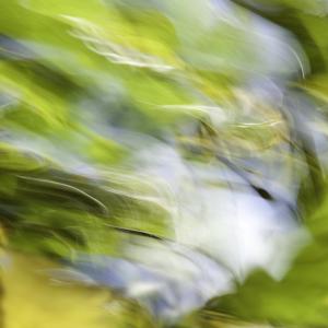 TM13, Real Fonderia, Palermo TM13, Real Fonderia, Palermo