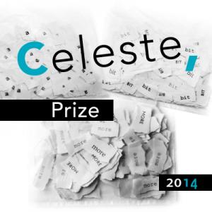 Celeste Prize 2014 Awards at Assab-One