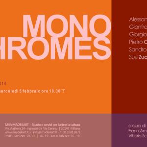 MONOCHROMES | a cura di Elena Amodeo e Vittorio Schieroni
