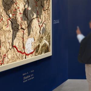 In the context of Art Basel / Art Forum Terra