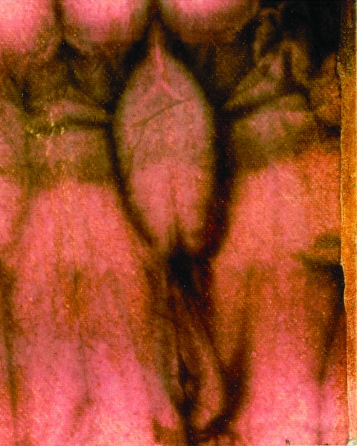 Il Principio della Manifestazione - Androginia