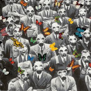 Blind Love Blind Love