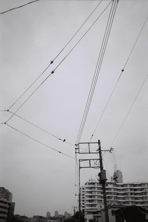 Electrical wires-Feti