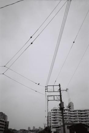 Electrical wires-Feti