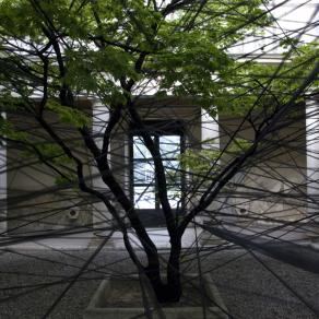 ...abbiamo esaurito lo zucchero... 3