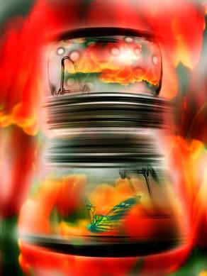 metto sotto vuoto,una farfalla. cosi' è salva dal freddo.