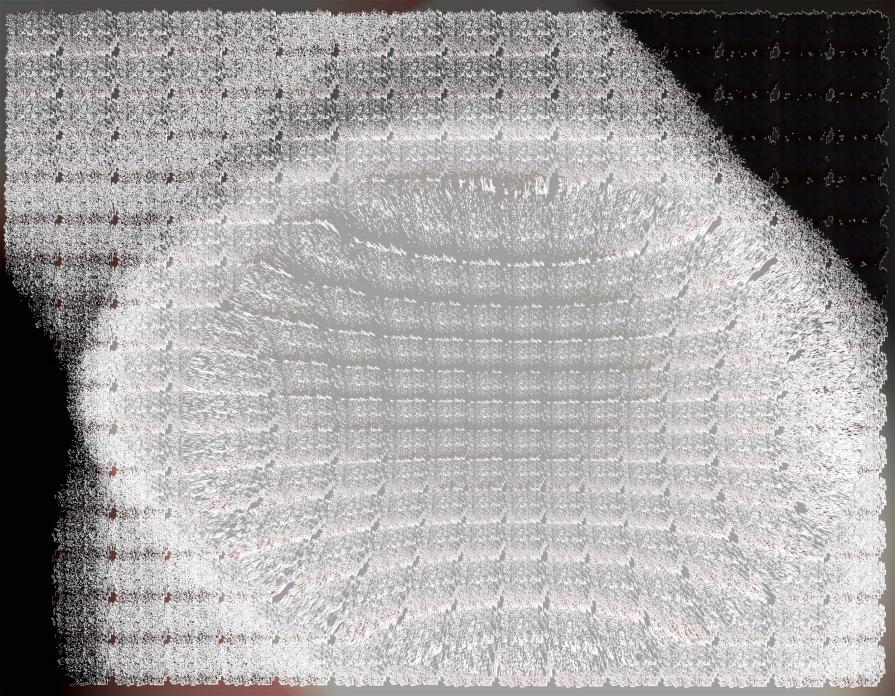 The white exudes,  La purezza del bianco (experiment 2)