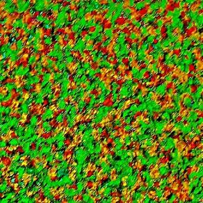 Keep the planet green with eco-friendly green energy and the legalization of marijuana