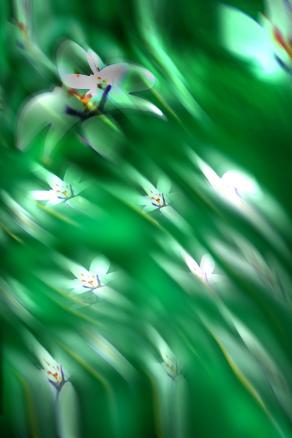 volo nel verdeeeeeeeeeeeeeeeeeeeee