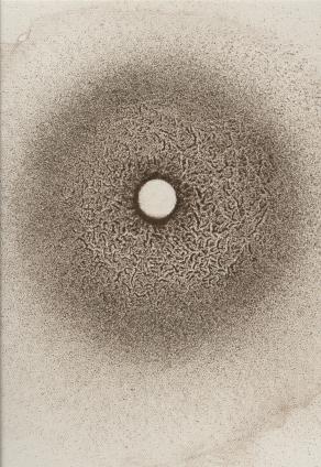 STELLA IN ARABESCO, 2014 STELLA IN ARABESCO, 2014