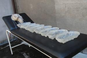 E.C. Kampfraath - Hysteria