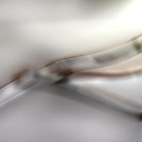 volteggiare liberi nell'aria.