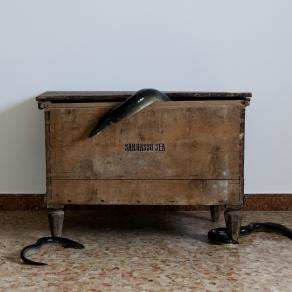 Homecoming (ritorno a casa) Homecoming (ritorno a casa)