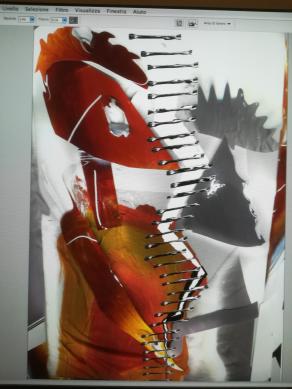 Cerco nel mio archivio. 