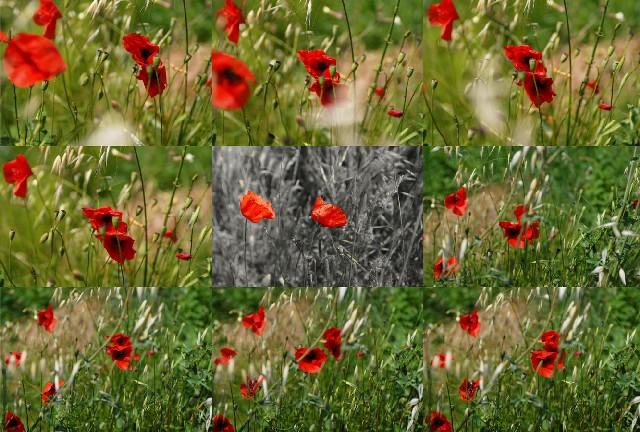 Il Turbine ... dell'Amore Il Turbine ... dell'Amore