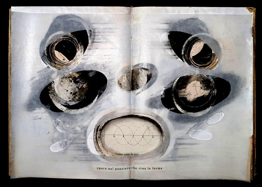 Letizia Ardillo- i 5 libri Letizia Ardillo- i 5 libri