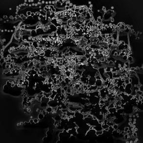 Cinderella’s Coach