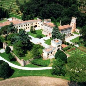 International Expo 'I Have a Dream' International Expo 'I Have a Dream'