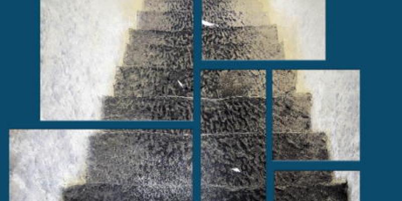 CELESTINO V BETWEEN ART AND EREMITAGE- Edited by Roberto Cumbo and Laura Mocci CELESTINO V BETWEEN ART AND EREMITAGE- Edited by Roberto Cumbo and Laura Mocci