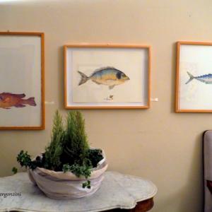 ANIMALS ART al Club La Meridiana di Modena