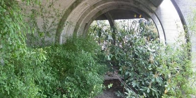 Episodio 2 DIVERTIMENTIFICIO EMILIA: DISCOTECHE FANTASMA Episodio 2 DIVERTIMENTIFICIO EMILIA: DISCOTECHE FANTASMA