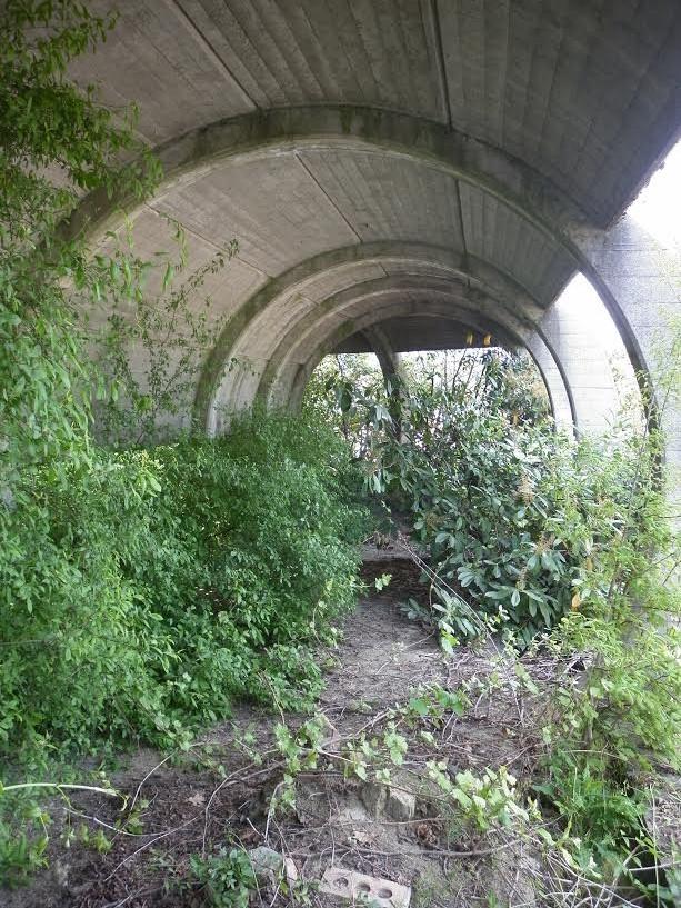 Episodio 2 DIVERTIMENTIFICIO EMILIA: DISCOTECHE FANTASMA Episodio 2 DIVERTIMENTIFICIO EMILIA: DISCOTECHE FANTASMA