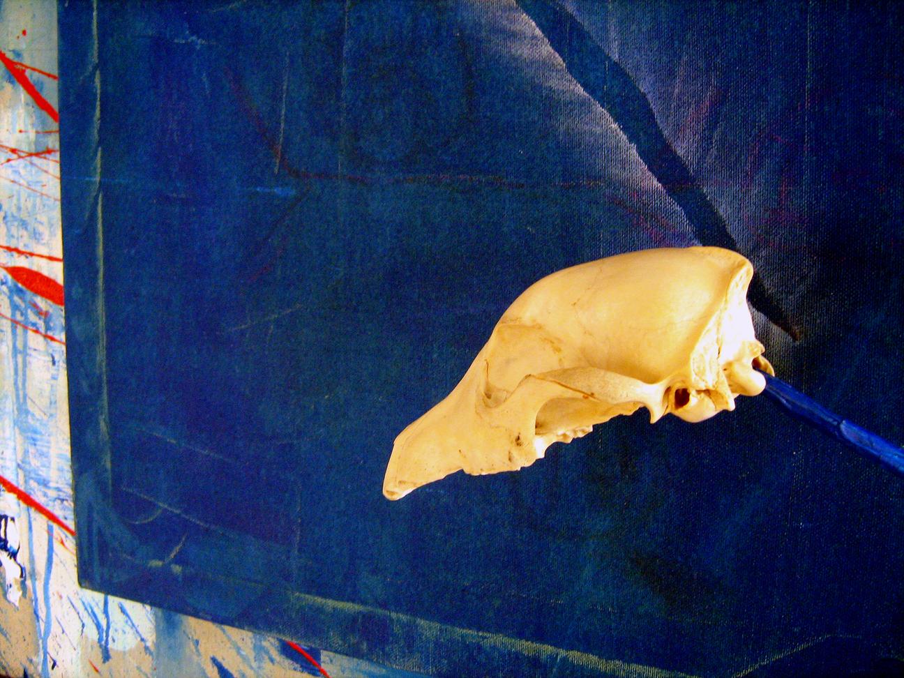 manifesto della retroAvanguardia manifesto della retroAvanguardia