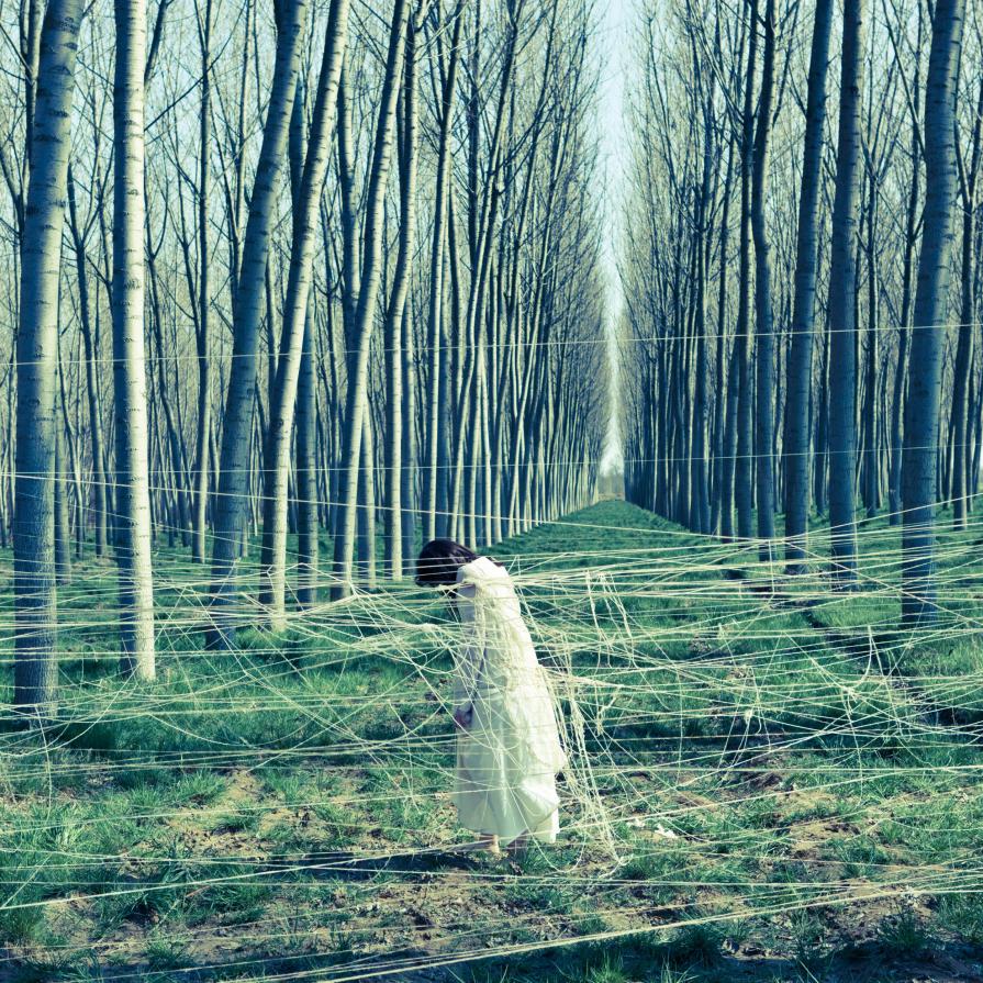 Coazione V (Trent'anni) Coazione V (Trent'anni)